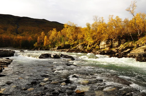 Река осенью — стоковое фото