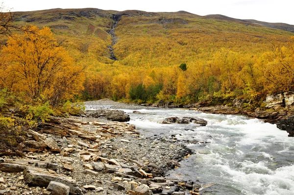 Řeka na podzim — Stock fotografie