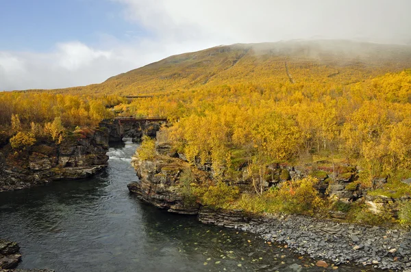 秋の川 ロイヤリティフリーのストック写真