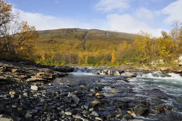 Fluss im Herbst — Stockfoto