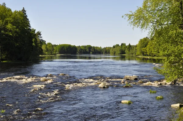 Річка навесні — стокове фото
