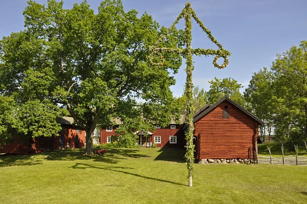 Дом и дерево в середине лета — стоковое фото