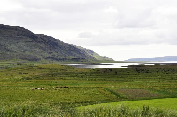 Озерный ландшафт Исландии — стоковое фото