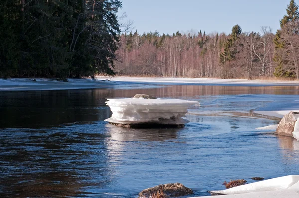 Rivier in het voorjaar — Stockfoto