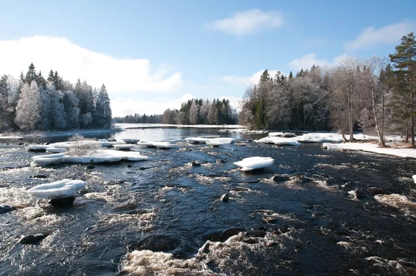 Fiume in primavera — Foto Stock