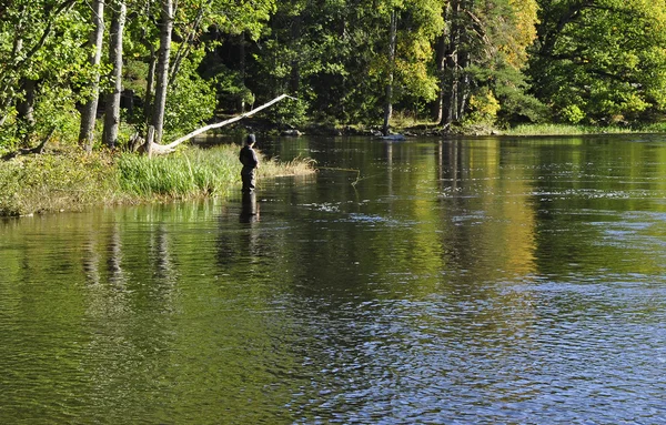 Fiske i en flod — Stockfoto