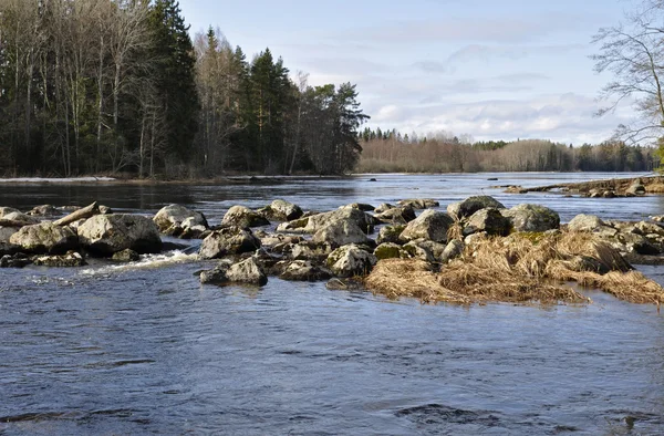 Swedish salmon area in spring — Stock Photo, Image