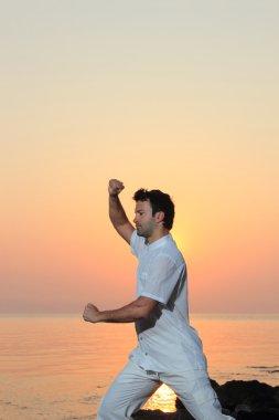 Handsome man practicing thai chi on the beach clipart