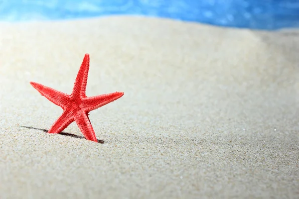 Red starfish in the sand — Stock Photo, Image