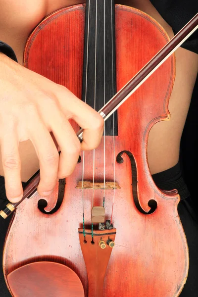 Close up of a couple holding a violin — Stock Photo, Image