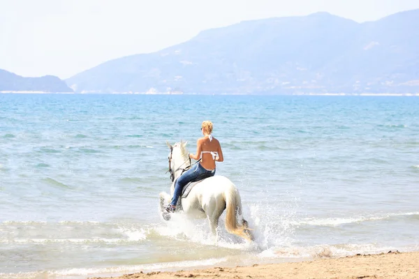 Mladý jezdec na pláži — Stock fotografie