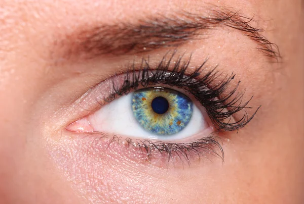 Красивые глаза женщины — стоковое фото