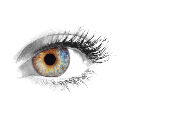 여자의 아름 다운 눈 — 스톡 사진