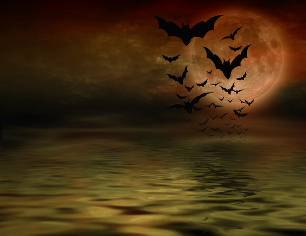 Bat flying over full moon halloween background