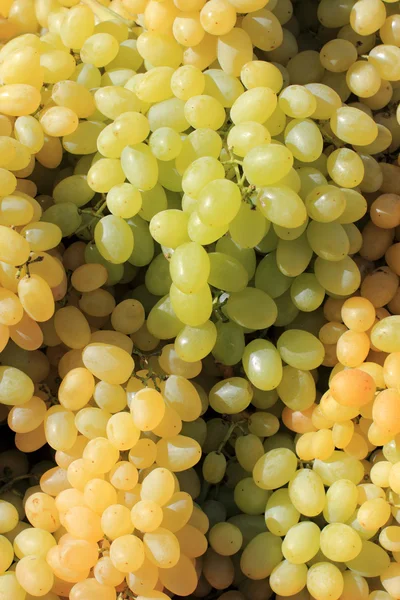 Pazarda beyaz şarap üzümleri