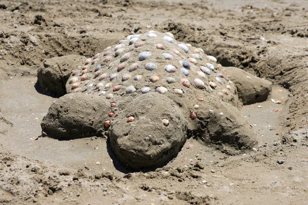 Tortuga de arena en la playa — Stok fotoğraf