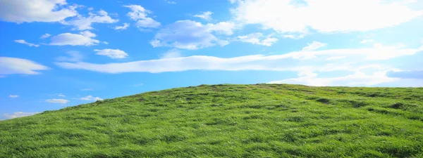 Groen gras heuvels onder middagzon — Stockfoto