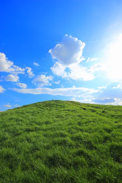 한낮의 태양 아래 푸른 잔디 언덕 — 스톡 사진