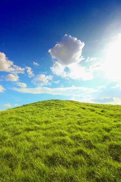 Green grass hills under midday sun — Stock Photo, Image