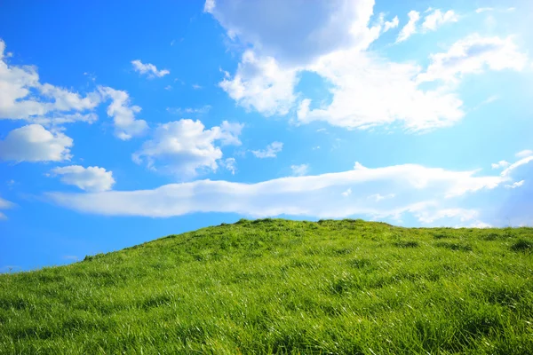 真昼の太陽の下で緑の芝生の丘 — ストック写真
