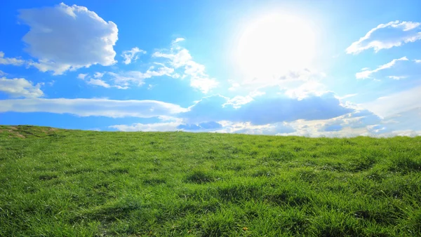 Groen gras heuvels onder middagzon — Stockfoto