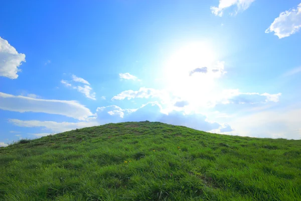 Verdi colline di erba sotto il sole di mezzogiorno — Foto Stock
