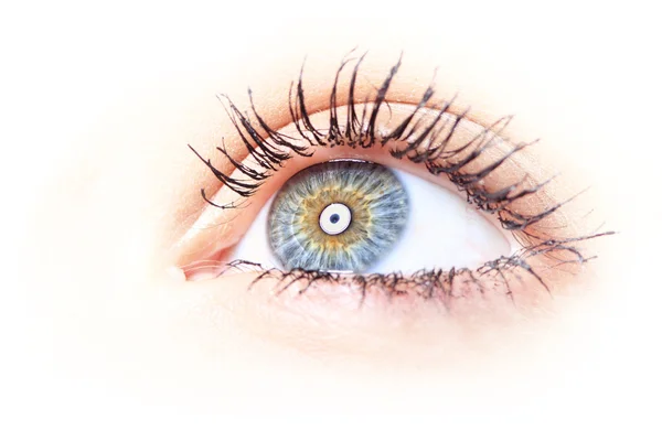 아름다운 푸른 눈 — 스톡 사진