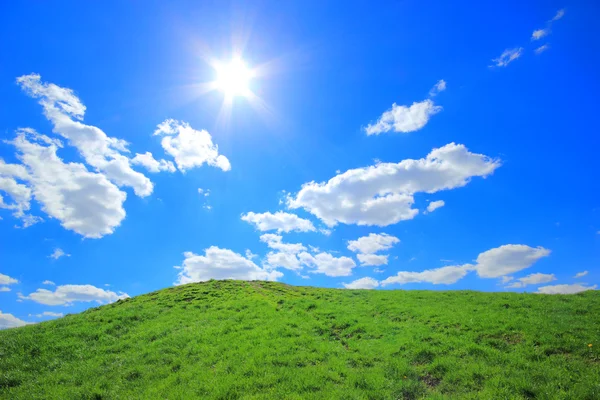 Verdi colline di erba sotto il sole di mezzogiorno — Foto Stock
