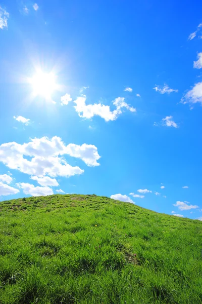 한낮의 태양 아래 푸른 잔디 언덕 — 스톡 사진