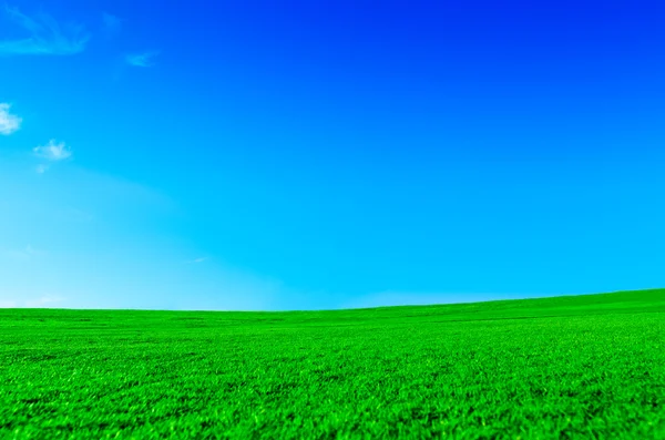 Serene green landscape — Stock Photo, Image