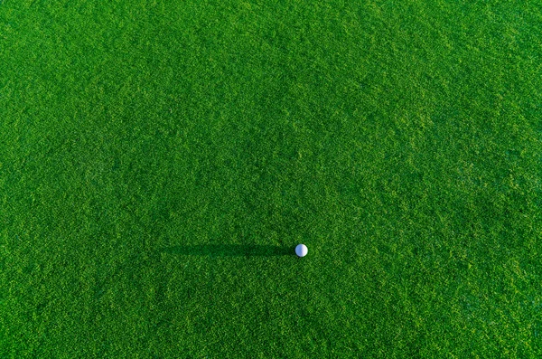 高尔夫球在球棒上一棵草 — 图库照片