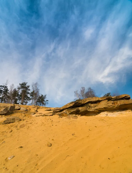 Ağaç ve kayaların üzerinde bir kum — Stok fotoğraf
