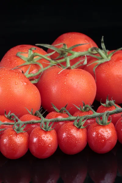 Cherry wijnstok tomaten op zwarte achtergrond — Stockfoto
