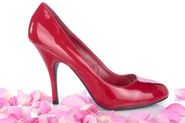 Σέξι κόκκινο τακούνι παπούτσι με λουλούδια πάνω από λευκό — Φωτογραφία Αρχείου