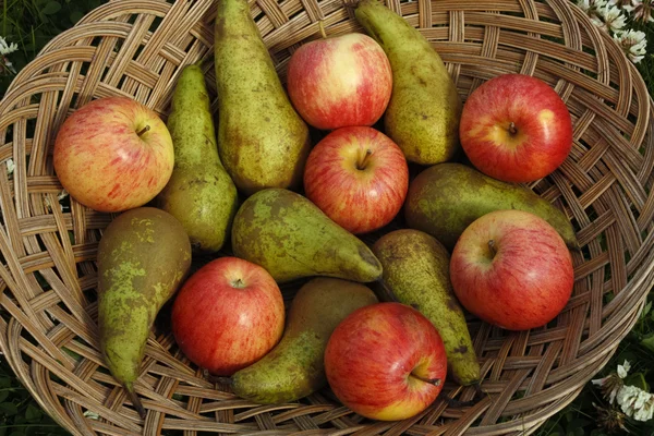Mixed fruit on basket outdoors — Stock Photo, Image