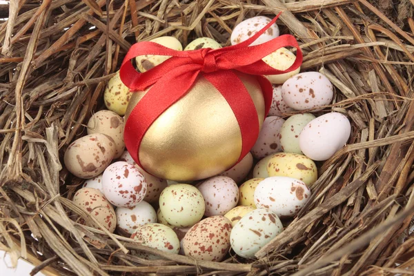 Huevos de Pascua en nido —  Fotos de Stock