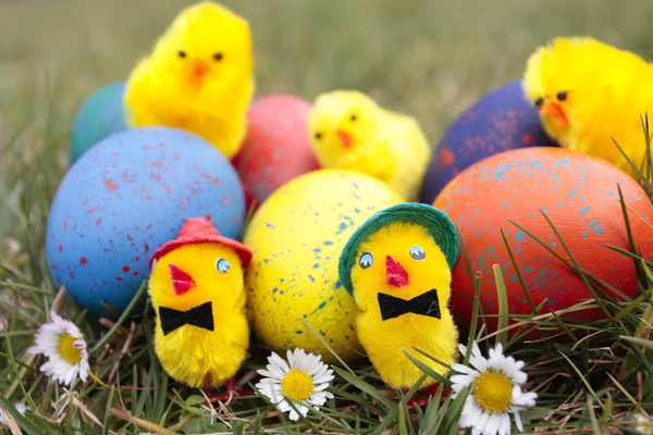 Easter eggs and chicks outdoors in garden — Stock Photo, Image
