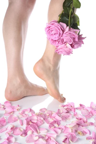 Piedi femminili e fiori su sfondo bianco — Foto Stock