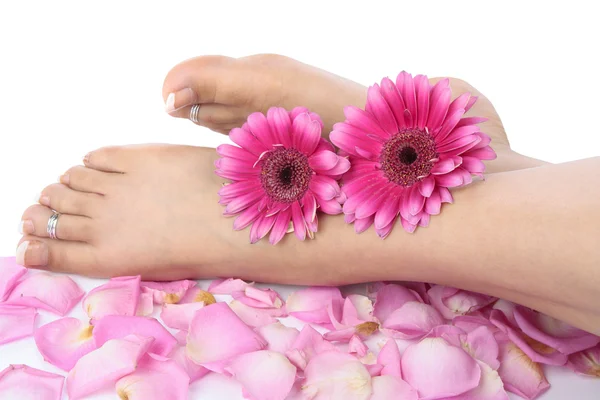 Female feet and flowers over white background — Stock Photo, Image
