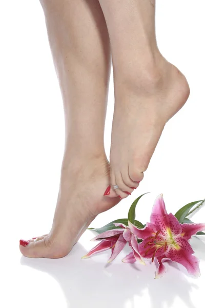 Vrouwelijke voeten en bloemen op witte achtergrond — Stockfoto