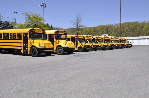 Fila de autobuses escolares — Foto de Stock