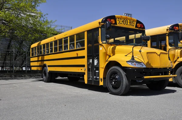 Jeden żółty autobus szkolny — Zdjęcie stockowe