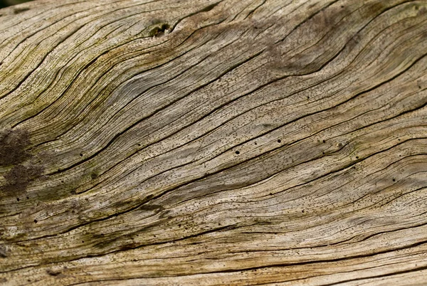 Holzmaserung — Stockfoto