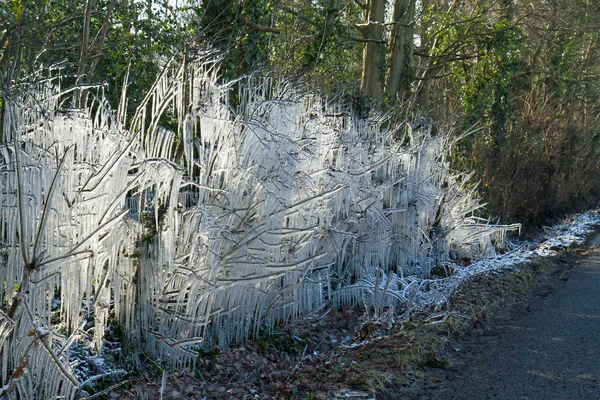 在冬天的冰柱 — 图库照片