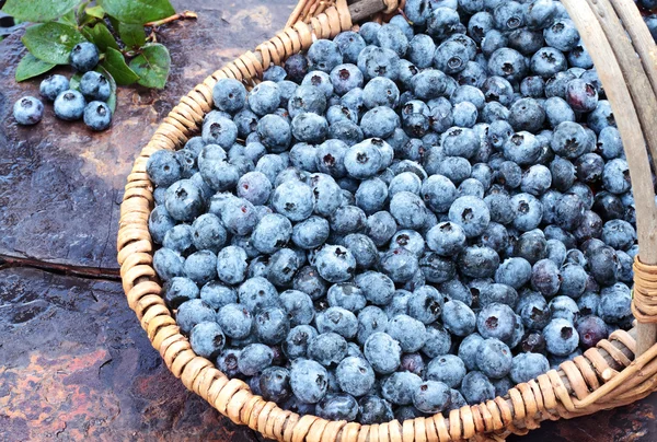 Fresh Blueberries in a Basket — Stock Photo, Image