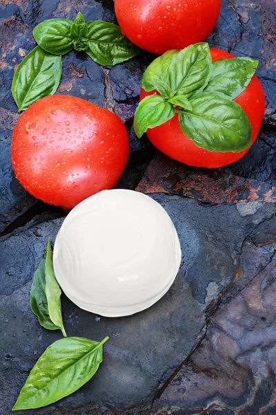 Свежие ингредиенты салата Капрезе — стоковое фото