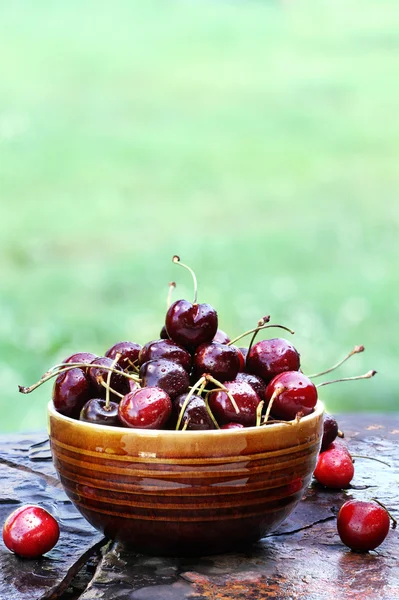Bowl of Cherries 2 — Stock Photo, Image