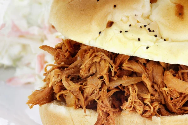 Pulled Chicken Sandwich — Stock Photo, Image