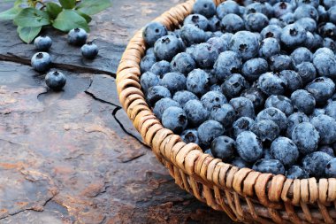 Fresh Blueberries clipart