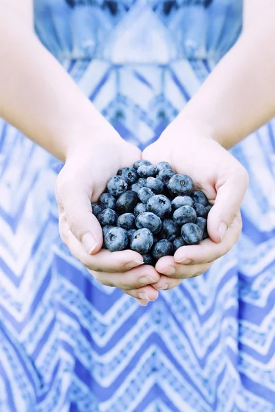 Woman Hands Offering Blueberries — Stock Photo, Image
